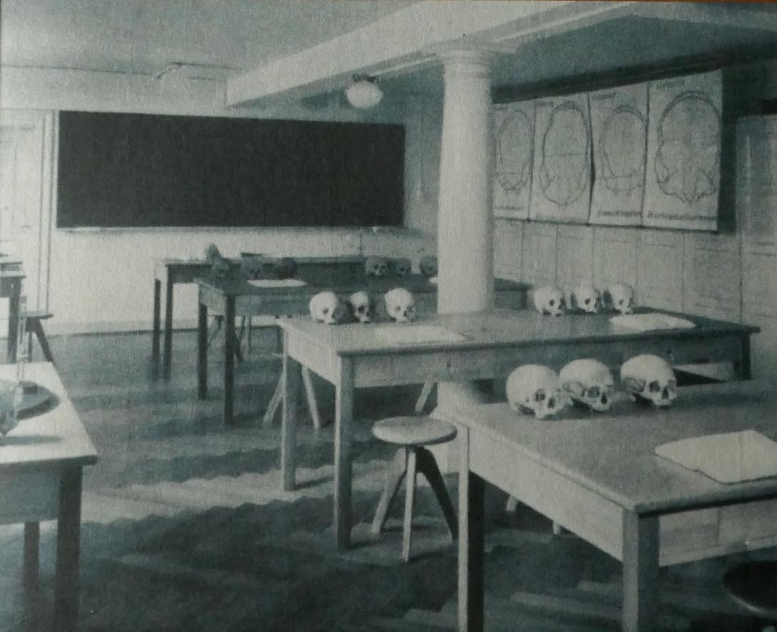 Anthropologisches Institut 1936