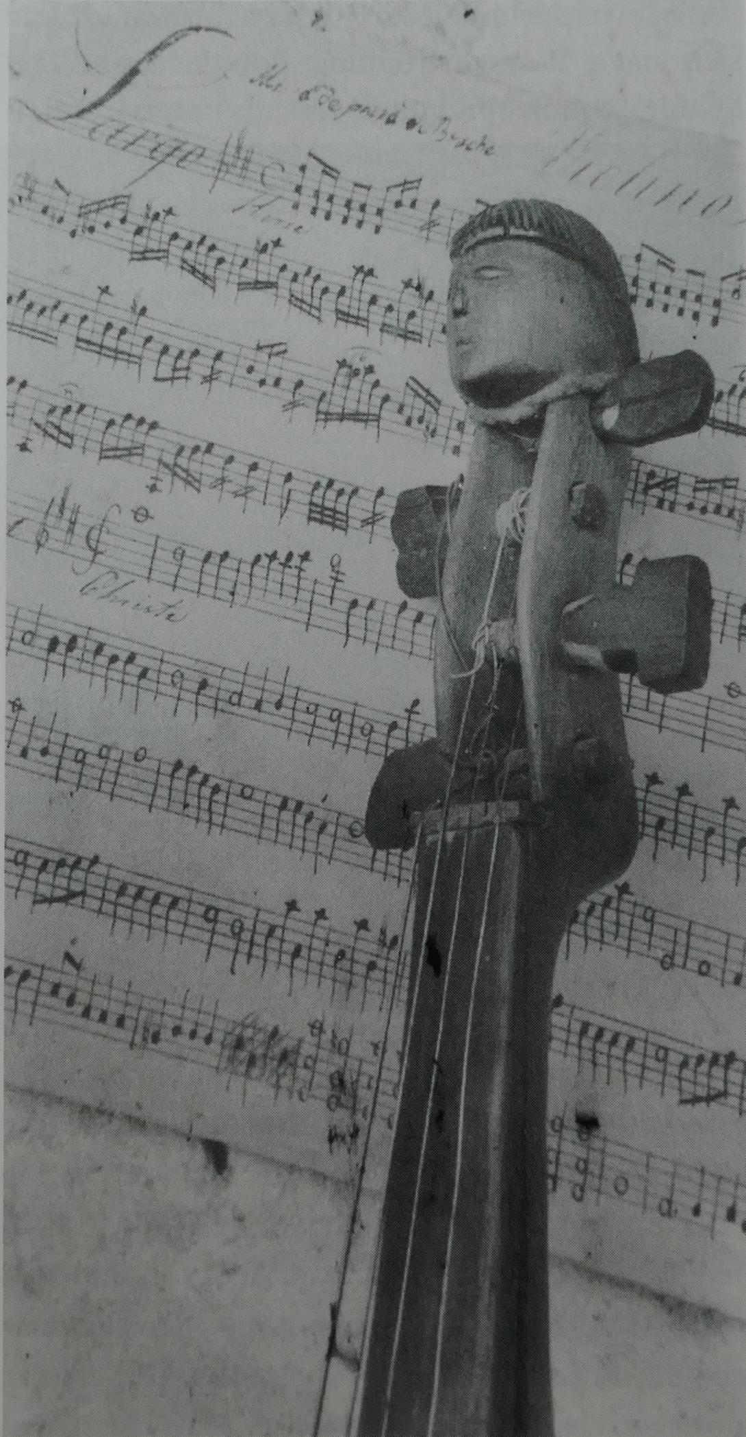 Chiquitano-Geige